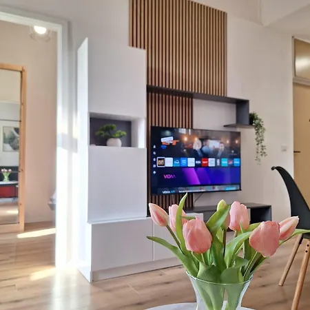 Apartman Ivko - Private Parking