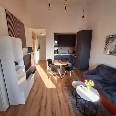 Ivko - Private Parking Apartment *
